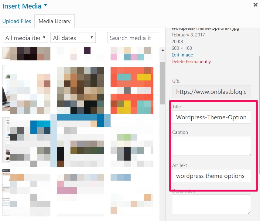 Image File name and Alt-text