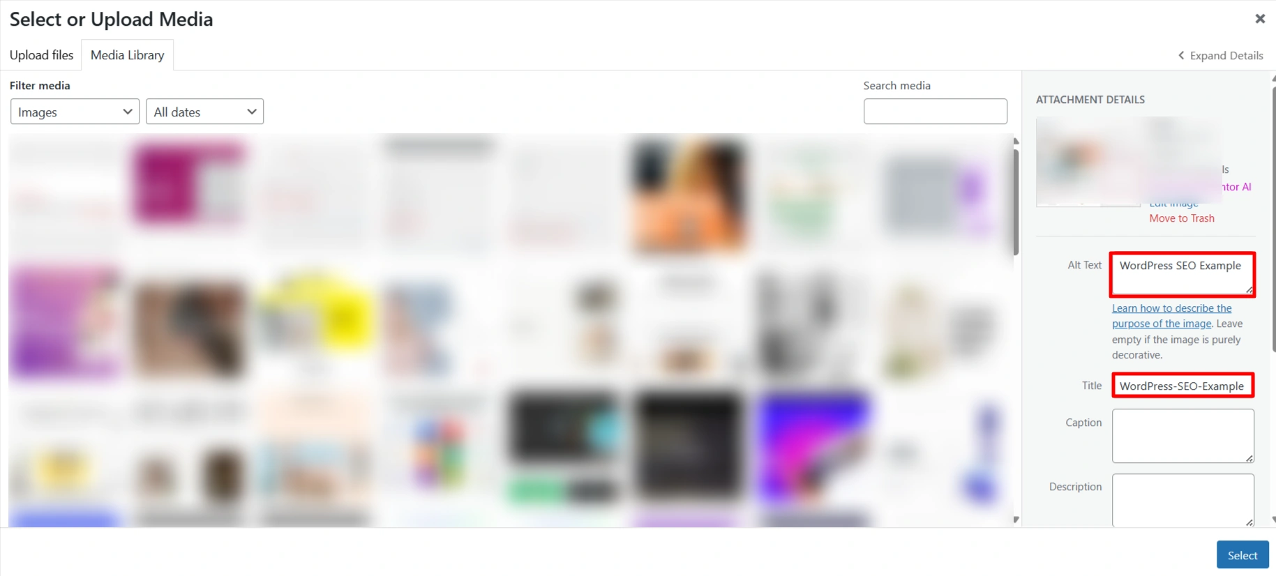 WordPress SEO Example