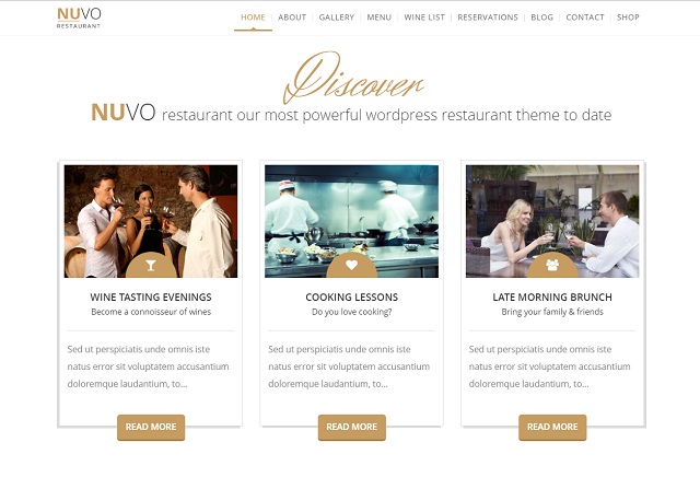 nuvo WP Theme nuvo