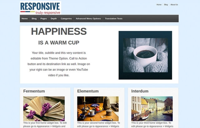 CyberChimps' Responsive WordPress theme