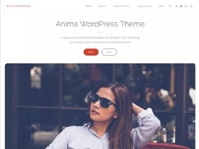 Anima Business WordPress theme
