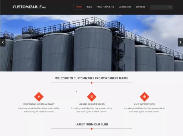 Customizable WP theme