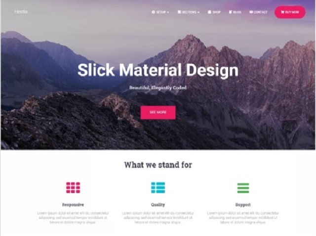 Hestia WP Theme