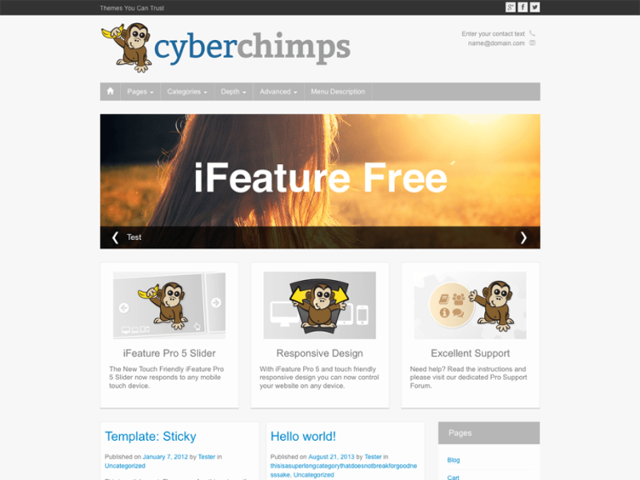 iFeature Small Business WordPress Theme