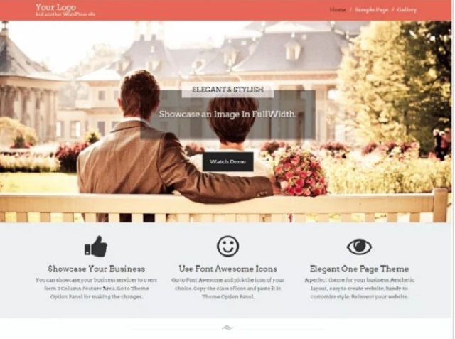 Start Point WP theme