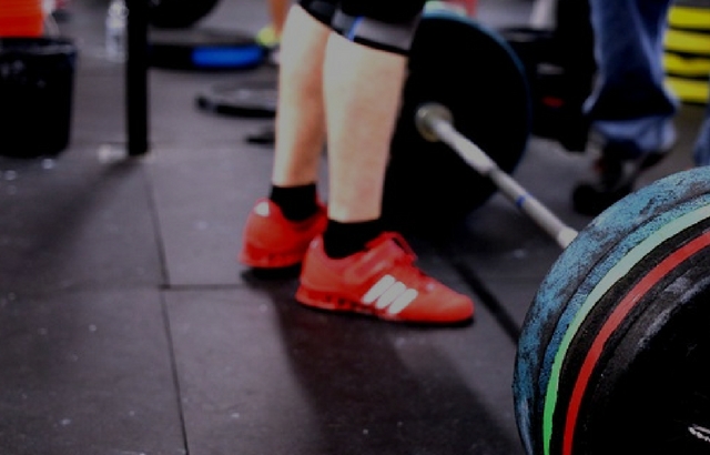 Fitness WordPress Themes