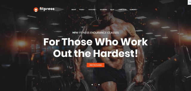 Versatile WordPress fitness theme