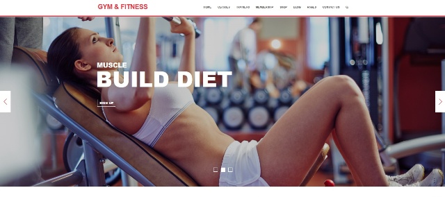 WordPress theme for gyms