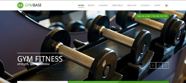 Responsive WordPress fitness theme