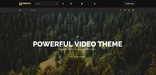 video WordPress theme with flexible templates