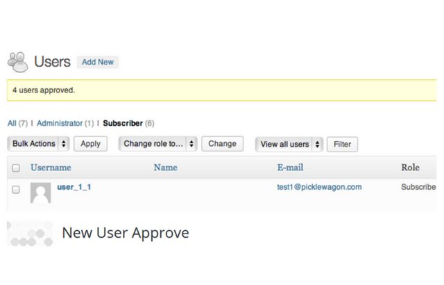 New User Approve