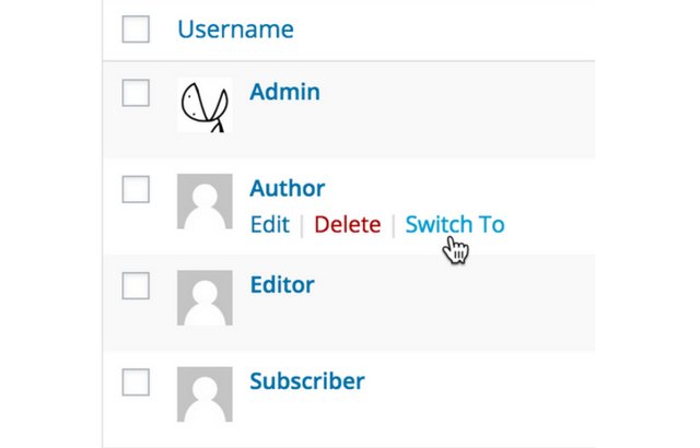 User Switching