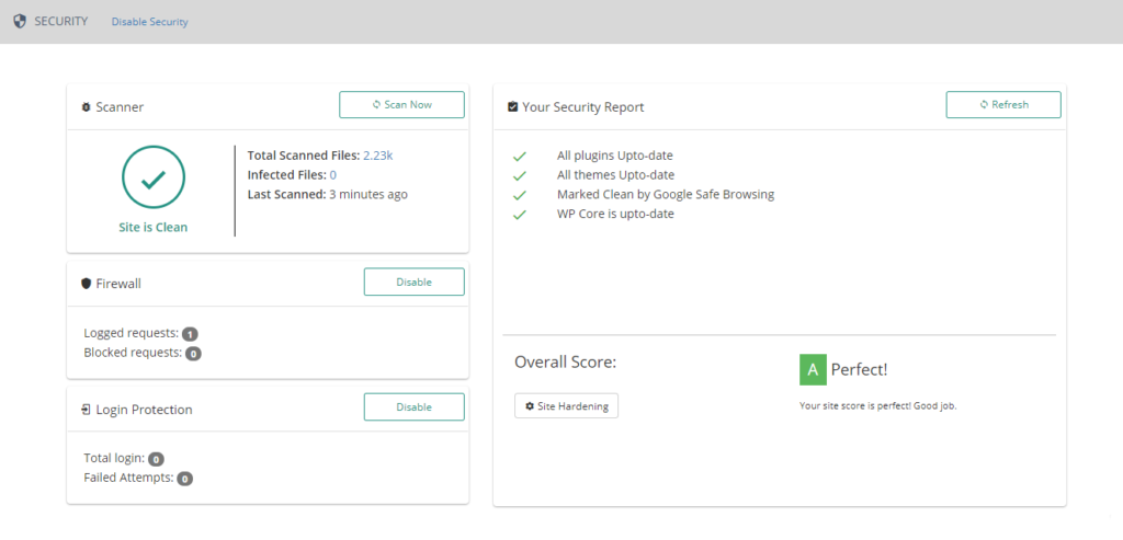 Website security scan