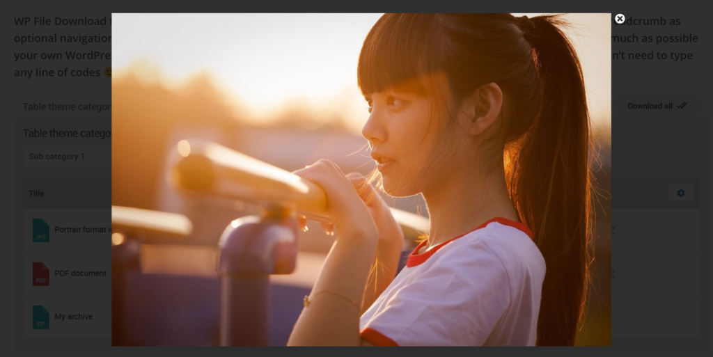 File Preview