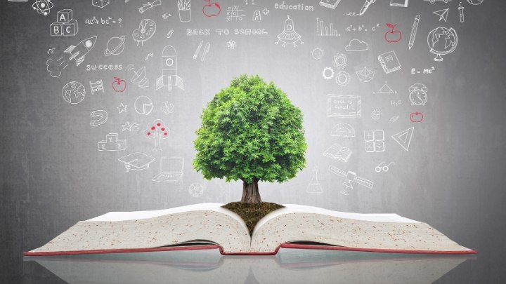 Knowledge base