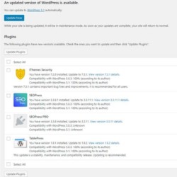 WordPress Speed Optimization