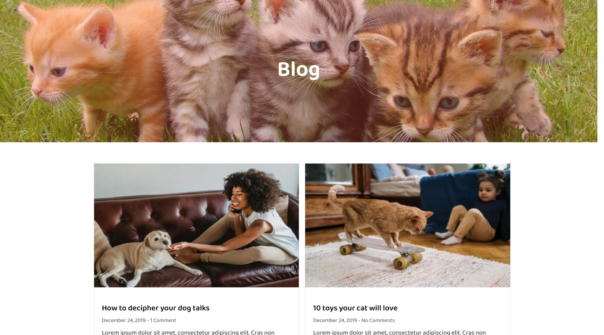 Pet-Shop-Blog