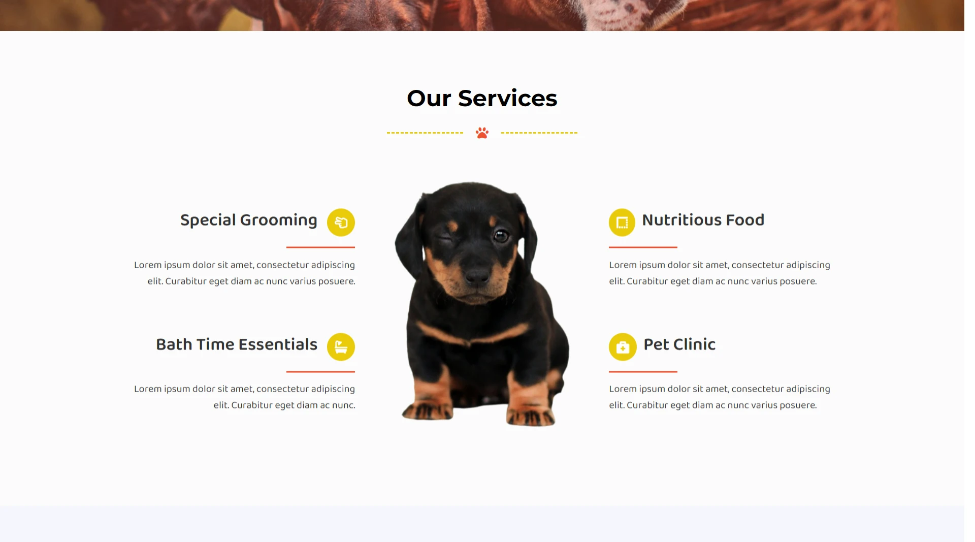 Pet-Shop-Service