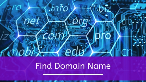 The Domain Name Game 