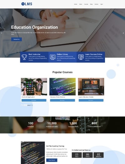 LMS WordPress theme