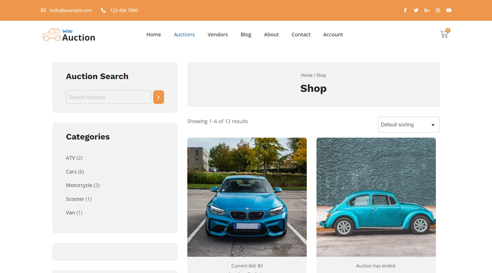 Auction WordPress template