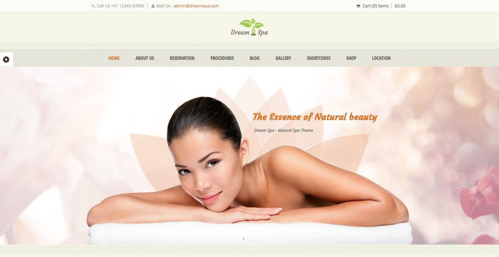 Dream Spa Hair Salon WordPress theme