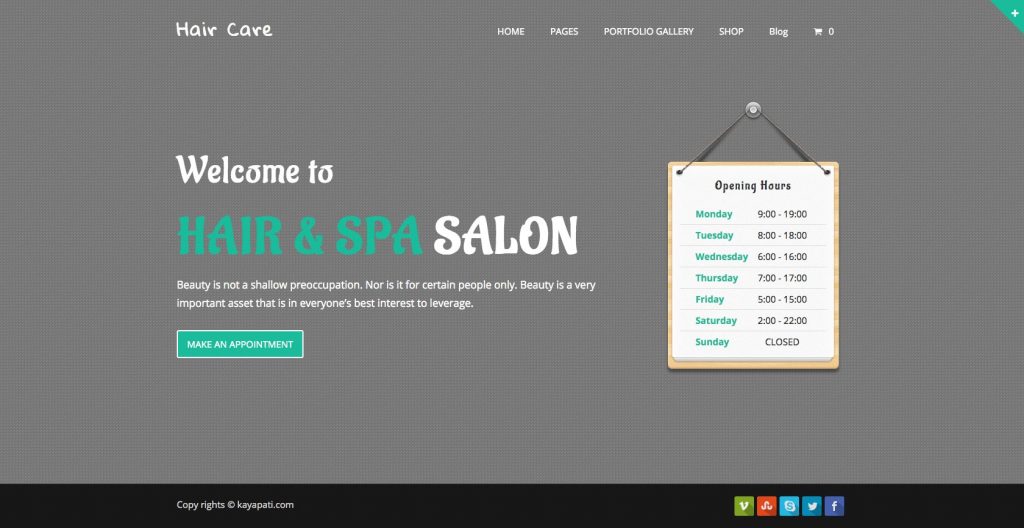 Hair Care Hair Salon WordPress theme