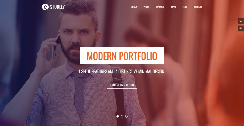 Sturlly Responsive Hair Salon WordPress theme