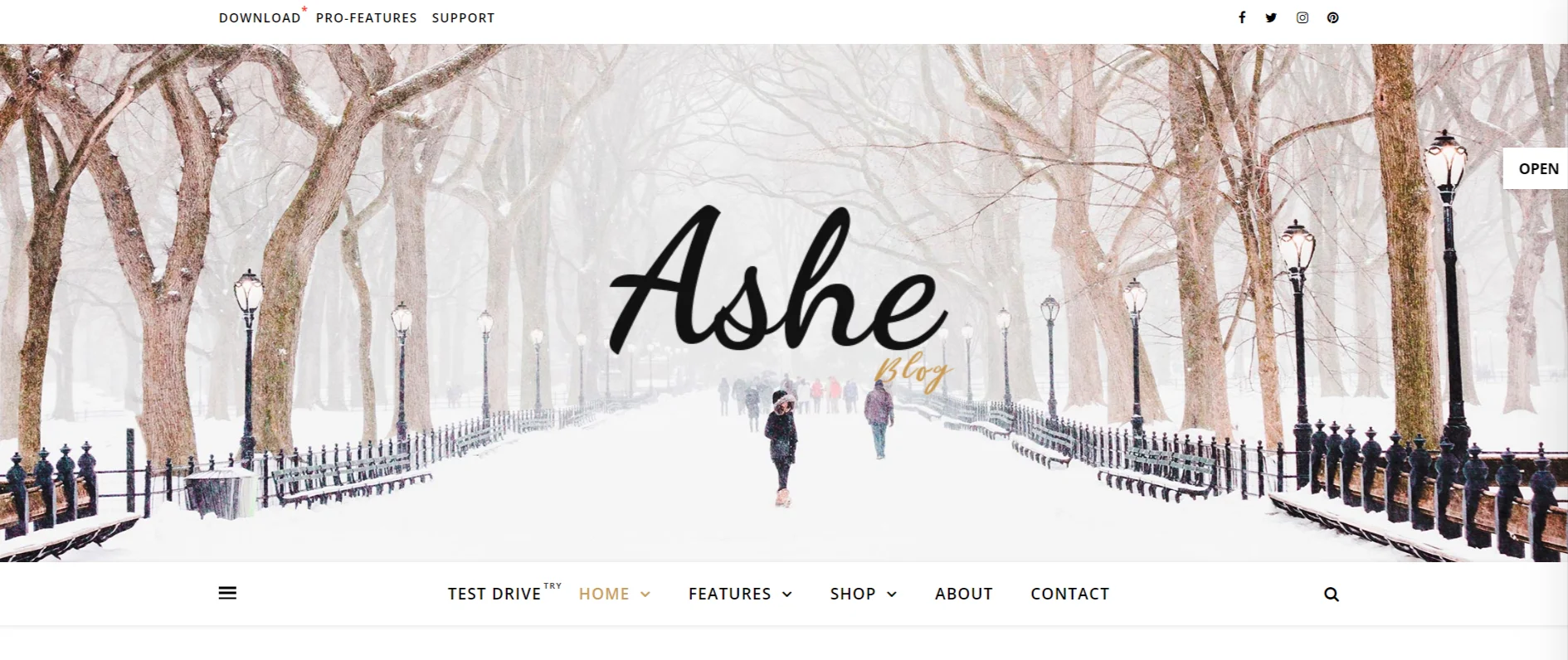 Ashe WordPress Theme