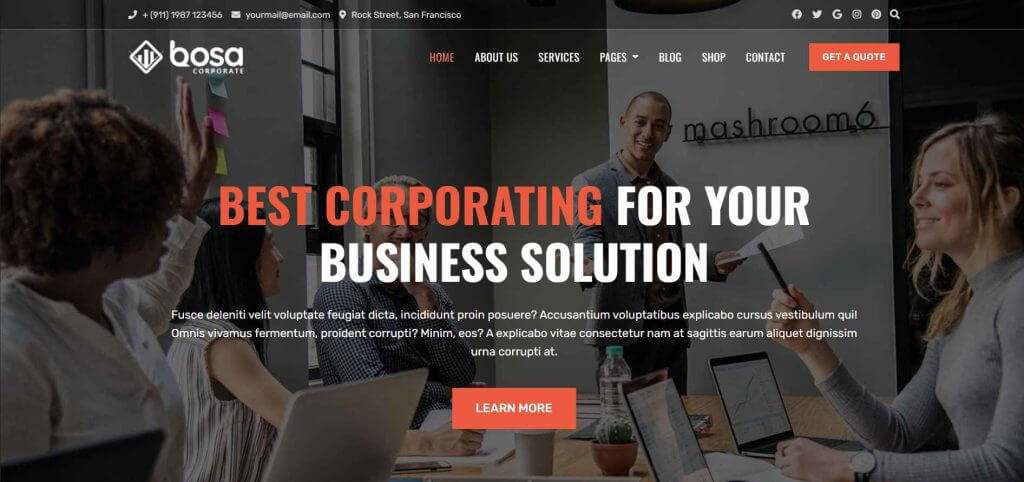 Bosa Financial WordPress Theme