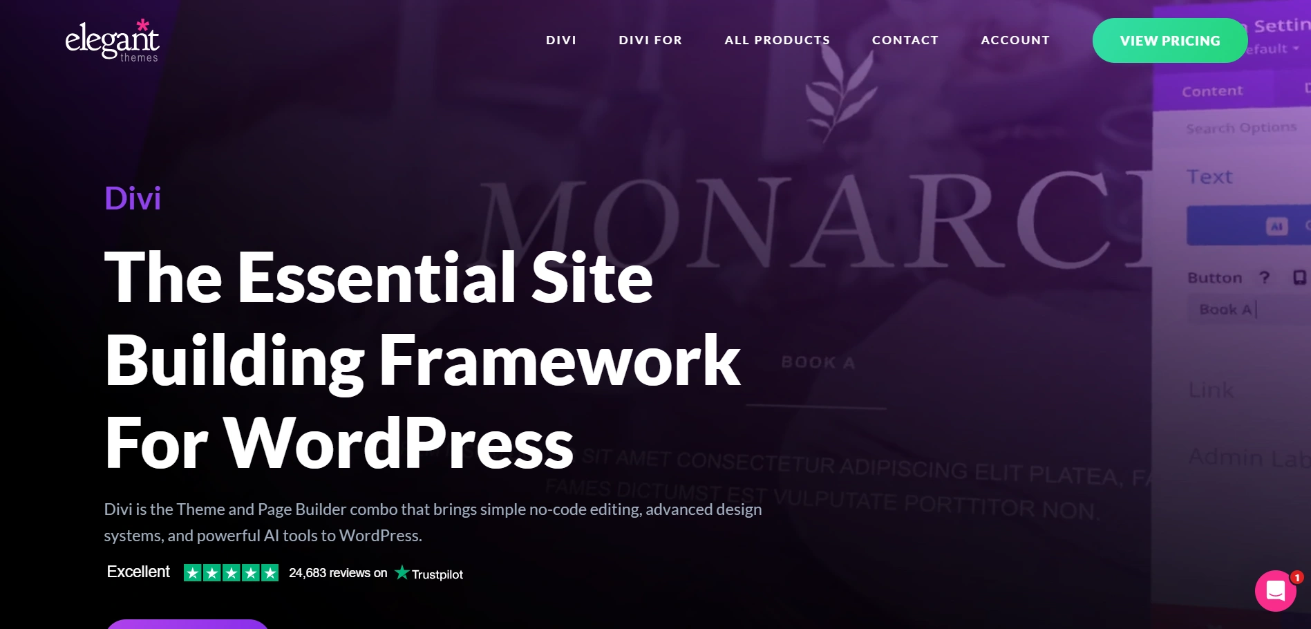 Divi theme