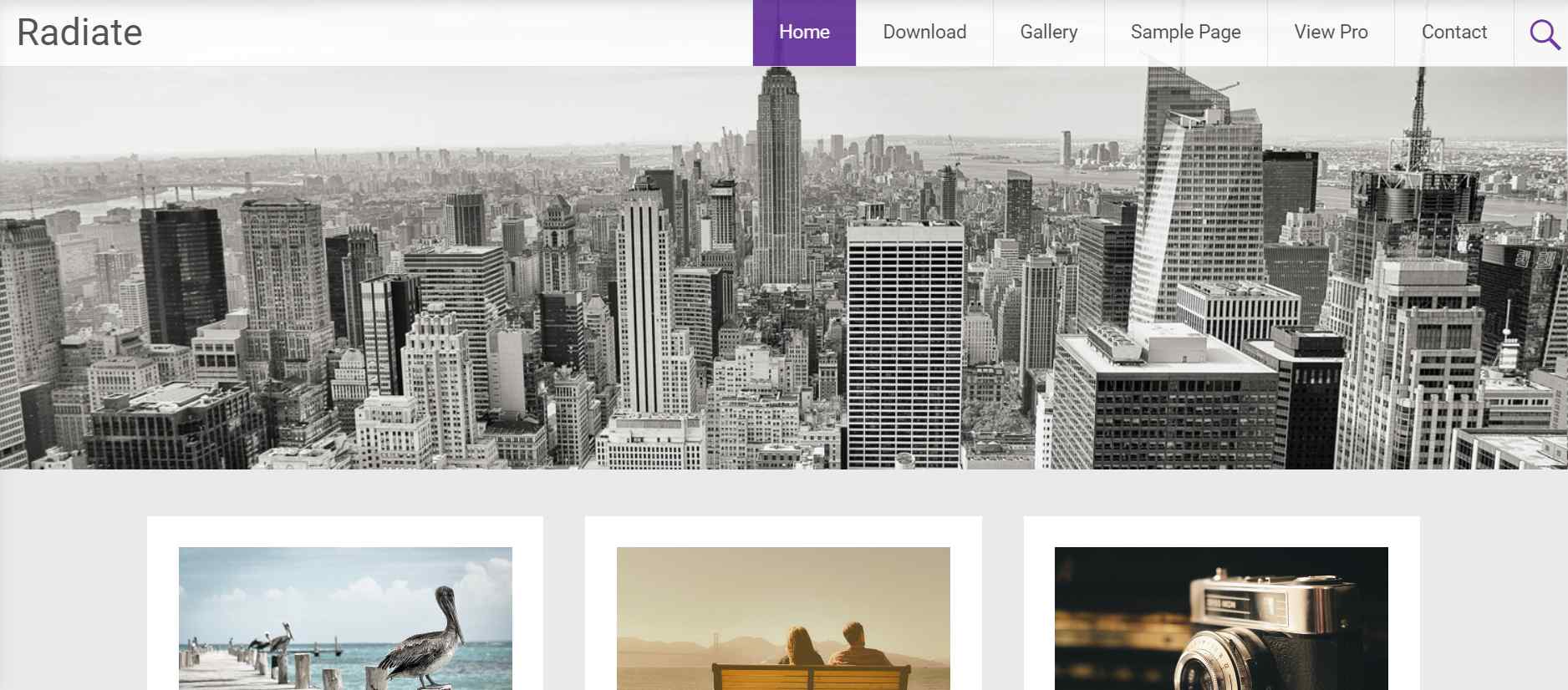 Radiate Portfolio WordPress Theme