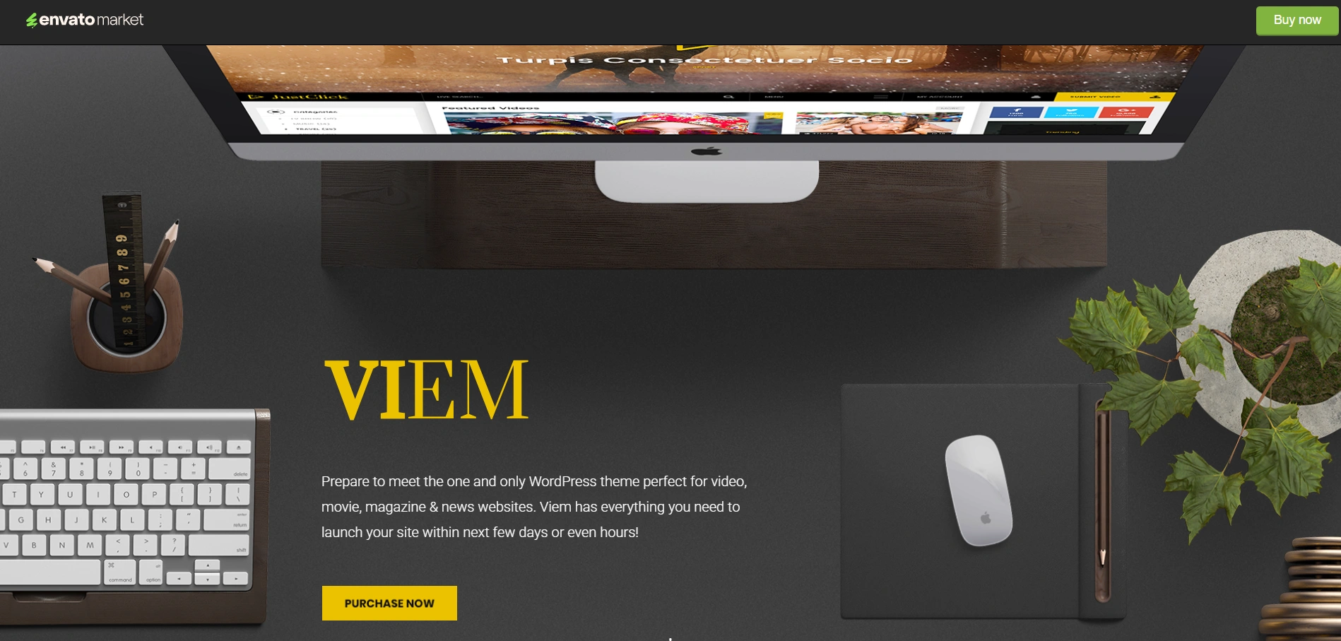 Viem theme