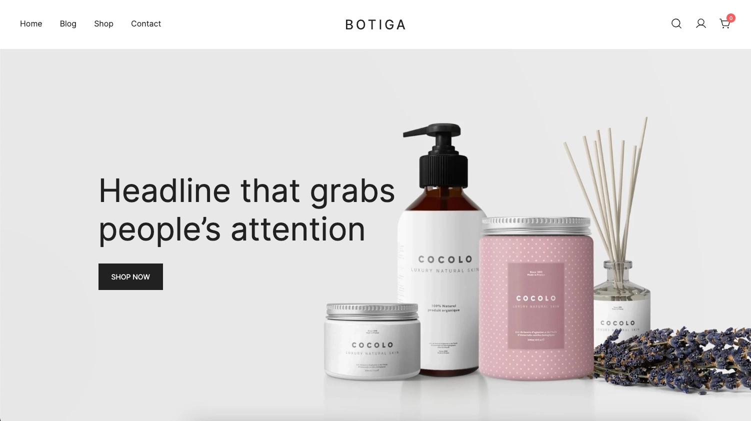 Botiga WordPress Theme