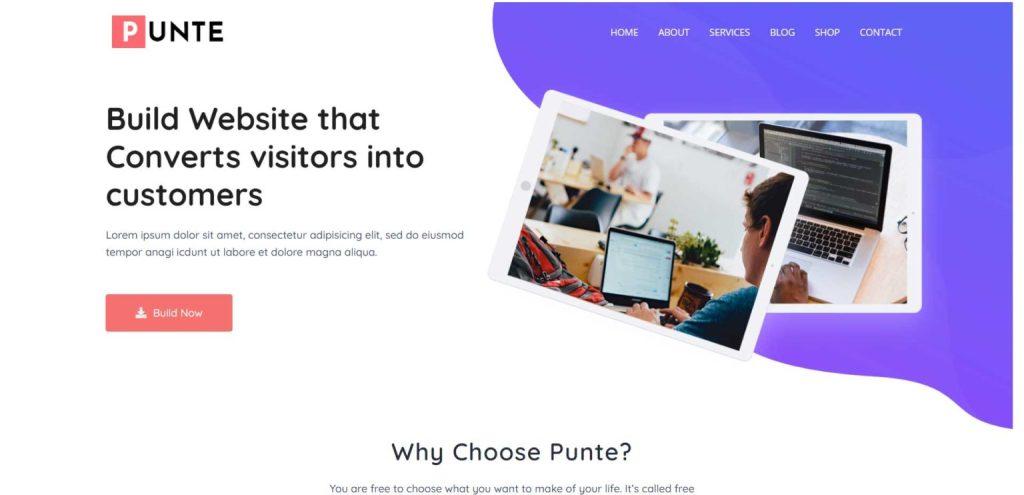 Punte-free-wordpress-theme
