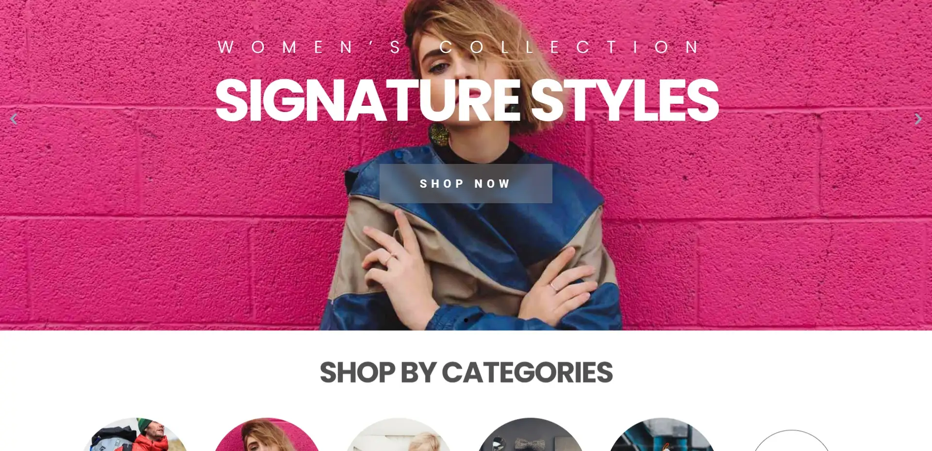 Store WordPress Theme