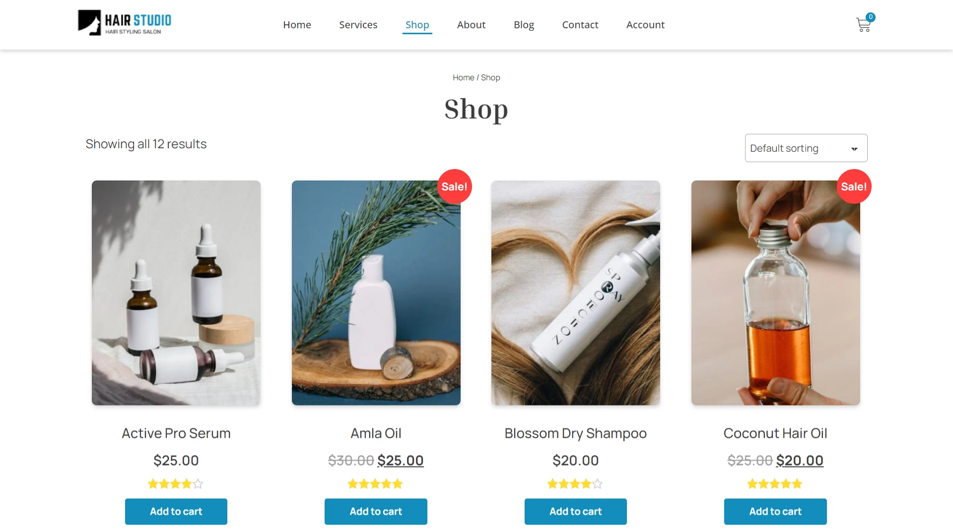 Hair Stylist Website Templates