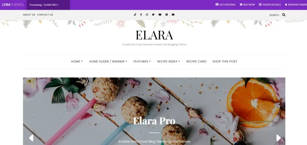 Elara Pro WordPress theme