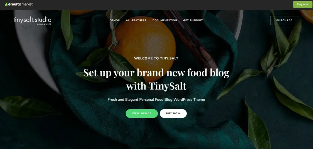 TinySalt theme