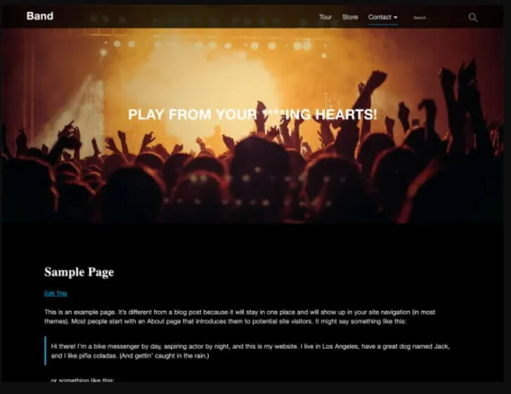 Bands WordPress Theme