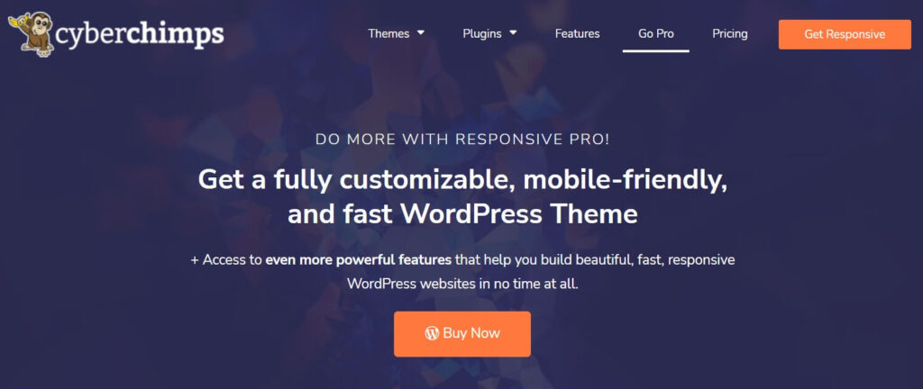 Responsive Pro Drag And Drop WordPress Theme