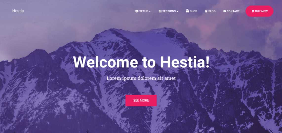 Hestia-WordPress-Theme