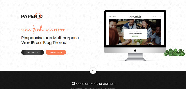 Paperio Fastest WordPress Themes
