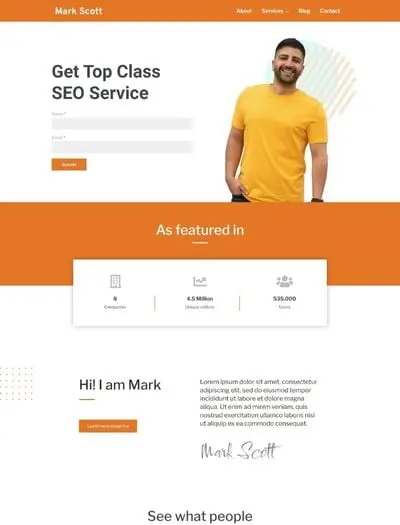 WordPress SEO Theme