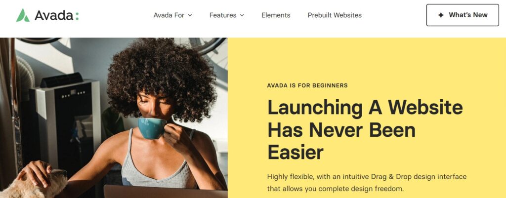 Avada Responsive WordPress Themes