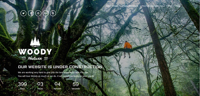 Woody Coming Soon WordPress Theme