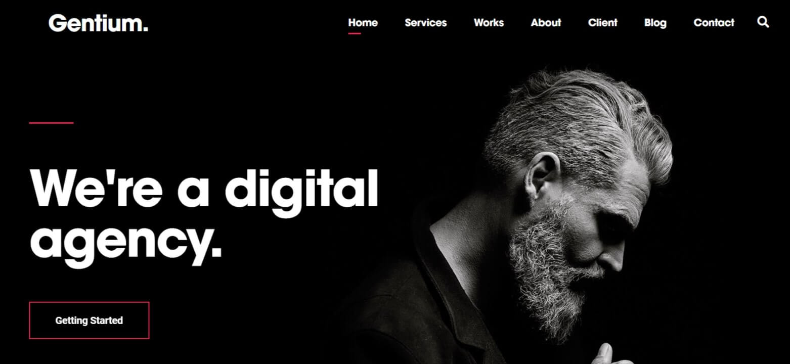 Gentium SEO WordPress Theme