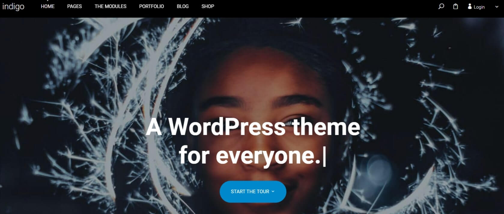 Indigo SEO WordPress Theme