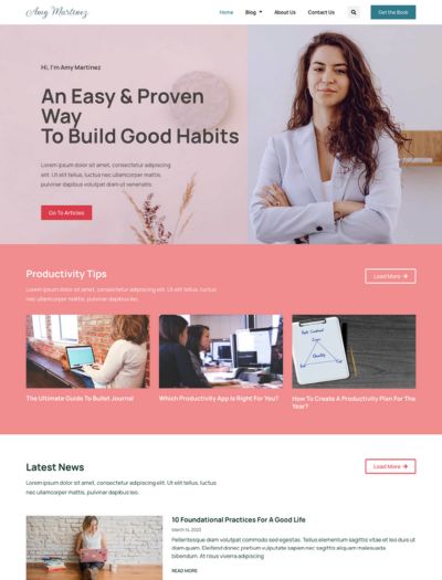 Affiliate Marketing WordPress Theme