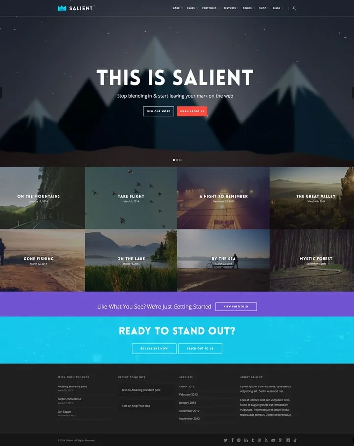 Salient WordPress theme with a Slider
